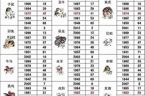 1982年五行|1982年属什么生肖的命 1982年属狗是什么命